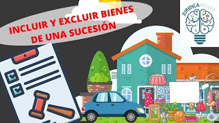 INCLUIR Y EXCLUIR BIENES DE UNA SUCESIÓN