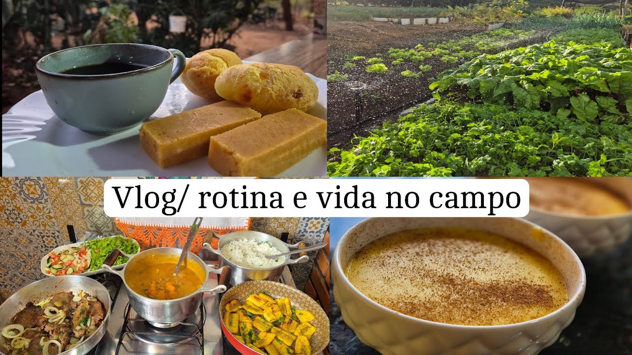 Um dia inteiro comigo nos trabalhos da roça/almoço/mingau /horta