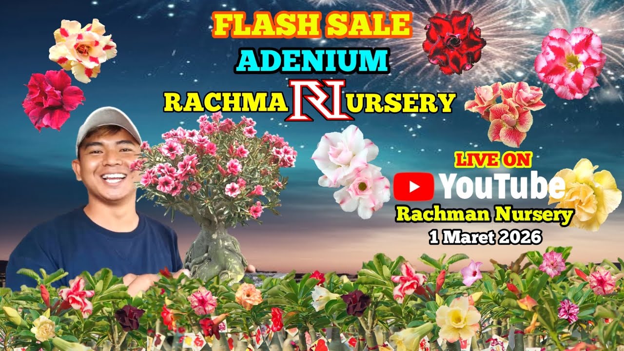 🔴 Live Flash Sale Adenium Bunga Tumpuk Dan Karakter (1 Maret 2026)
#rachmannursery #adenium
