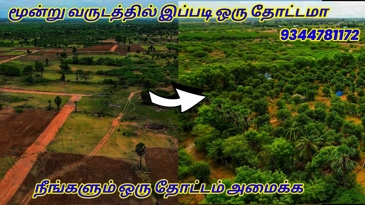 Low Budget Farm Land For Sale in Madurai Kariapatti Sourashtra Garden