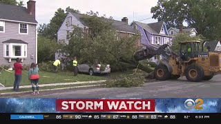 Tropical Storm Fay Topples Tree Onto Home In New Jersey