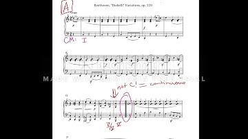 Binary Form Theme Analysis