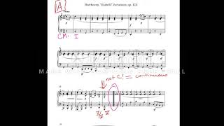 Binary Form Theme Analysis