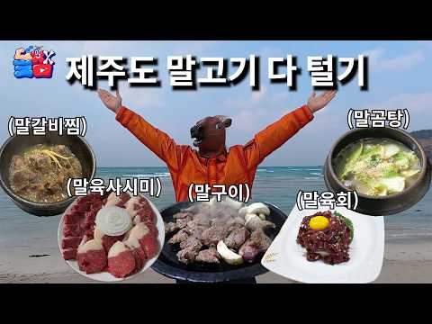 2026년 말의 해 기념(?)으로 100시간 동안 말고기 26인분 끝나지 않는 지옥 먹방하기ㅋㅋㅋㅋㅋ