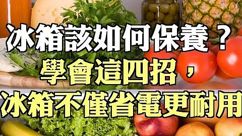 冰箱該如何保養？學會這四招，冰箱不僅省電更耐用 - 天天要聞