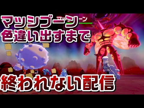 【ポケモン剣盾】sin新真再最終回極RDXEXGXαX 参加型UB全部色違い計画第7弾274～ 色違いマッシブーン厳選 出すまで終われない配信 ダイマックスアドベンチャー【鎧の孤島】【冠の雪原】