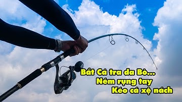 Bắt Cá Tra Bò | Hồ Câu Hải Long Vương Lớn - Group Câu Cá Nhỏ