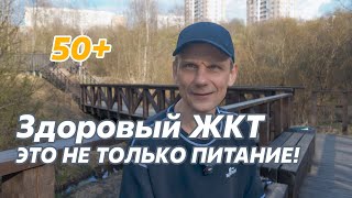 видео: Питание, ЖКТ, энергия | Что важно каждый день #разговорподушам картинка: Питание, ЖКТ, энергия | Что важно каждый день #разговорподушам