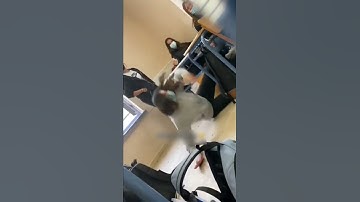 Senin için ölürüm diyordun....Ne oldu da yar böyle oldun....