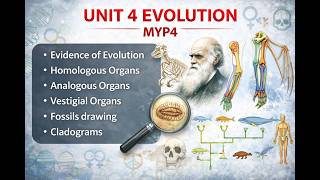 Celebrity UNIT 4 EVOLUTION – MYP4 Net Worth
