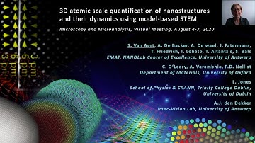 3D atomic scale quantification of nanostructures and their dynamics using model based STEM