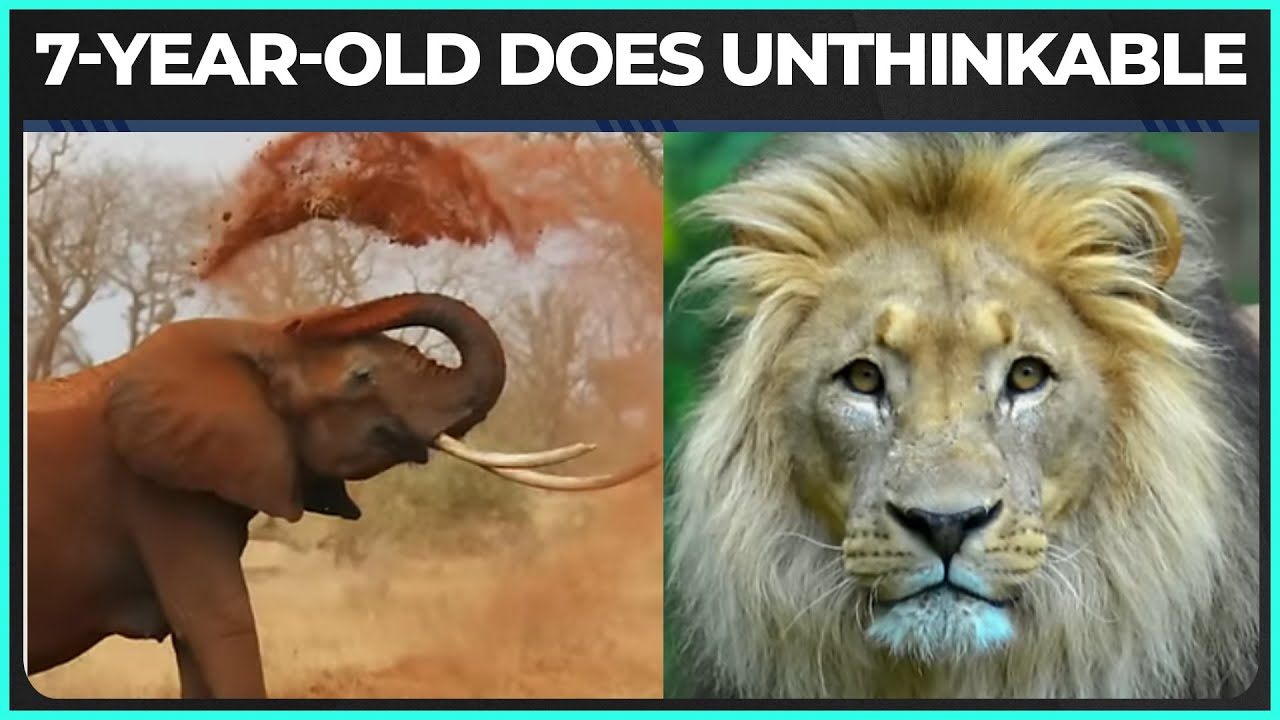 How A Young Child Survived 5 Days Alone In Lion-Infested Park