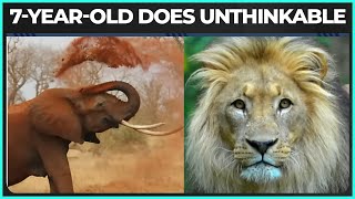 How A Young Child Survived 5 Days Alone In Lion-Infested Park