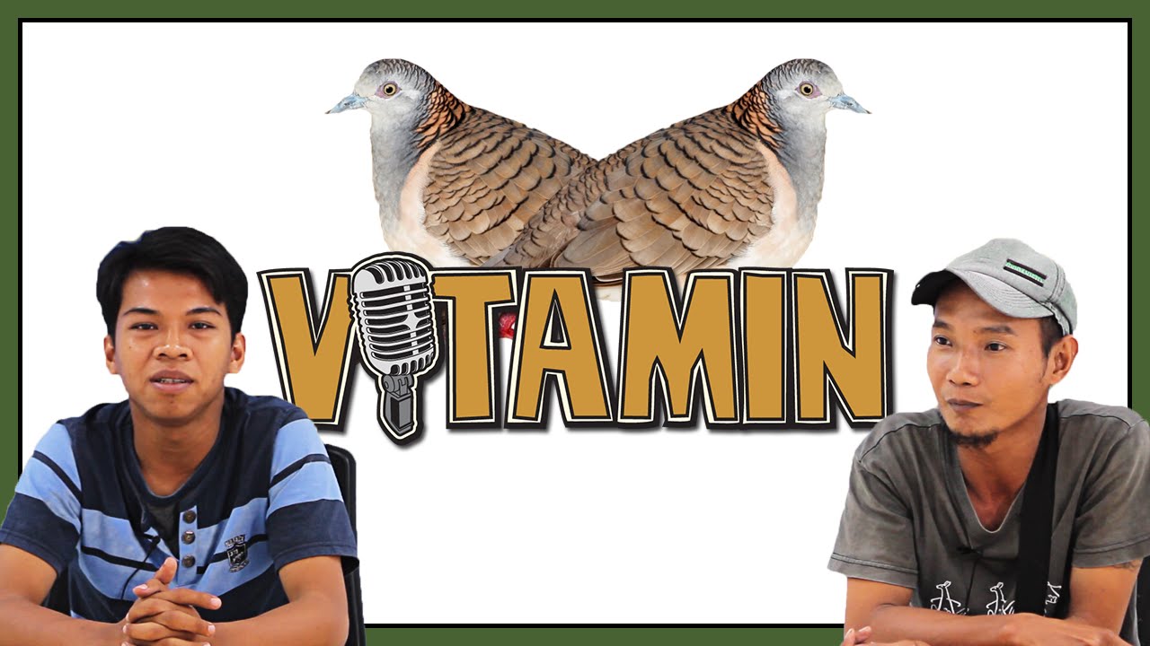 VITAMIN Edisi Tukang Bajaj dan Burung Perkutut Papa 