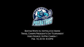20180218 vs Hatfield Ice Hawks - Camera 1