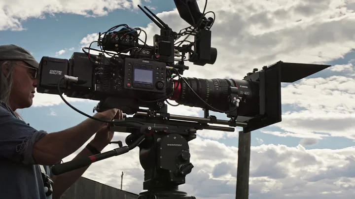 Behind the Scenes with the Canon DP-V2420 4K Refer...