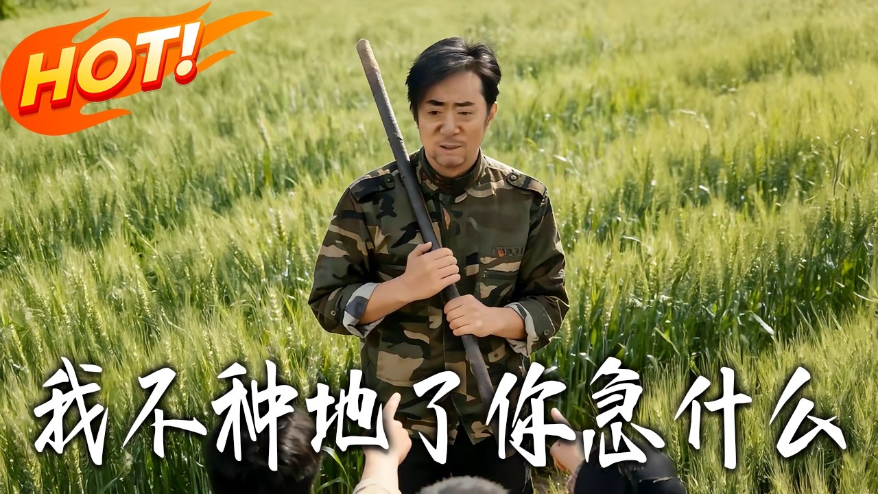 我不种地了你急什么第1-38集高清完结合集