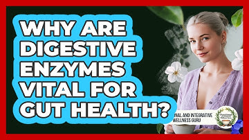 Why Are Digestive Enzymes Vital For Gut Health? - Functional and Integrative Wellness Guru