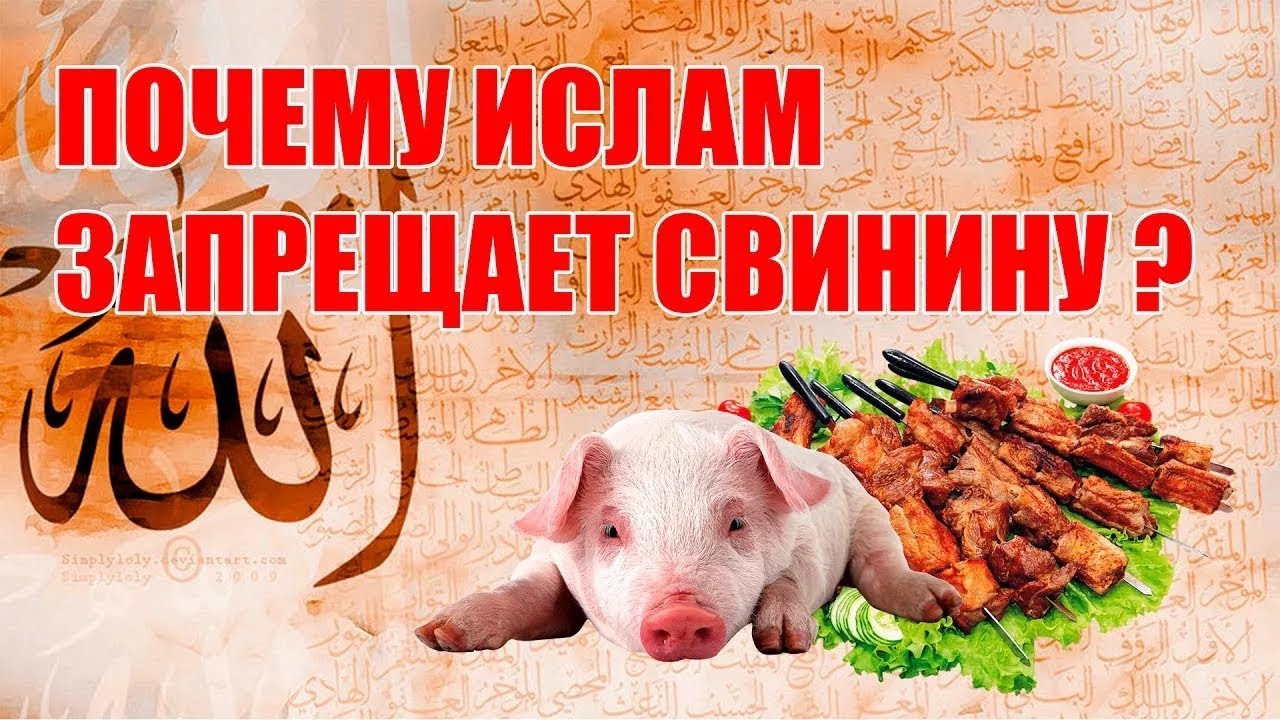 Мусульманское мясо. Свинина запрещена в Исламе. Запрет есть свинину в Коране.