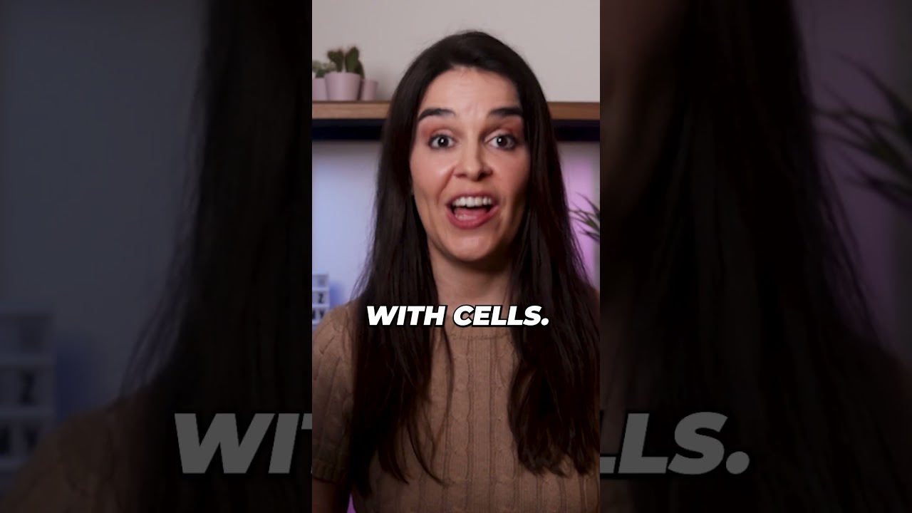 Don’t Say These Words in Portugal 🇵🇹 | Brazilian vs European Portuguese 