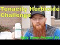 How to fix an Ugly Lawn, Tenacity herbicide challenge.  diy tenacity pre emergent