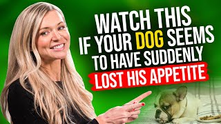 Is Your Dog Not Eating? Here are 8 EASY WAYS to Deal with this Problem! by Zumalka by HomeoAnimal - Helping Pets Naturally  108 views 1 year ago 12 minutes, 36 seconds