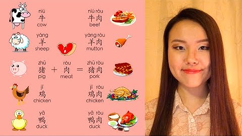 Learn Mandarin Chinese Vocabulary Lesson: How to say meat, beef, pork, chicken, duck, mutton, lamb,