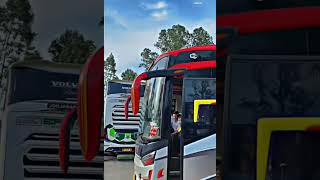 mpm avatar #mpm #busmania