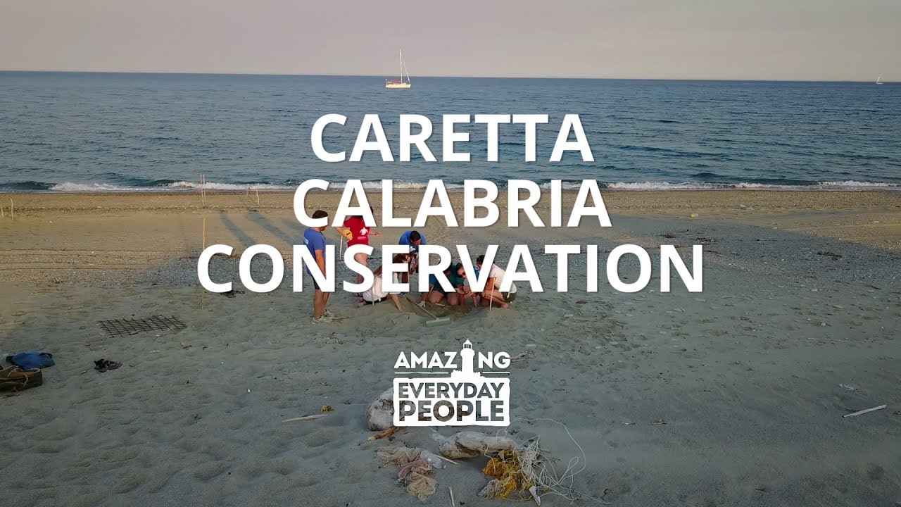 Caretta Calabria Conservation | Storie della Calabria - YouTube