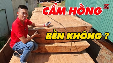Những điều bạn chưa biết về gỗ nguyên khối Cẩm Hồng | Sơn Sập Gỗ