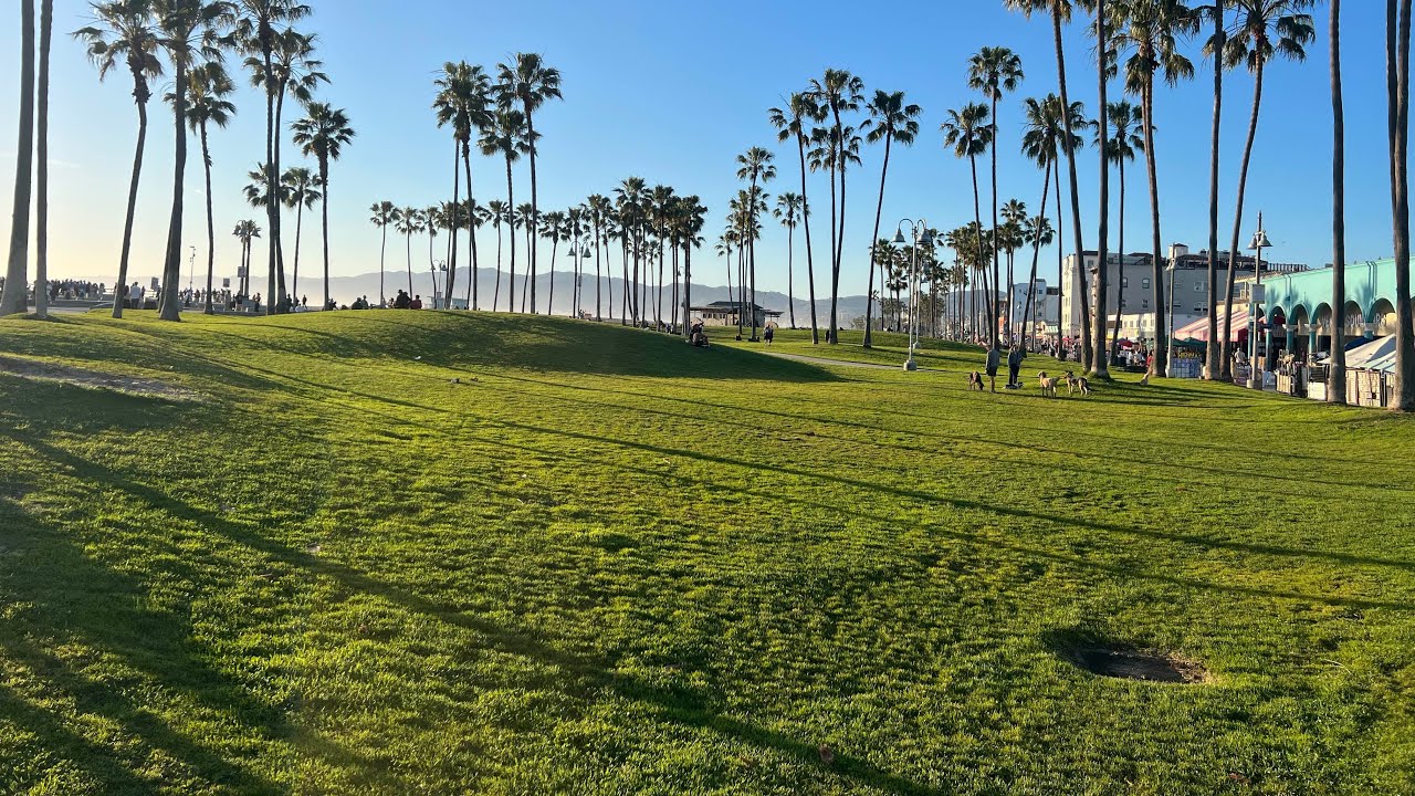 أيامنا الحلوة والحب ده طوق النجاة والحب ده سر الحياة . إتحدوا يا عرب قبل فوات الاوان ❤️❤️🇪🇬🇪🇬