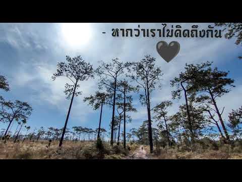หากว่าเราไม่คิดถึงกัน - ส้ม มารี |i will love