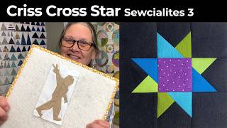 Sasquatch at show and tell! | Block 14 Criss Cross Star Sewcialites 3 | Block Talk