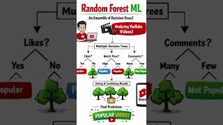 Random Forest ML Explained in 20 Seconds | YouTube Shorts📝 #RandomForest #AI #DataScience #YouTube