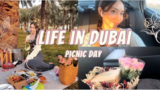 Life in Dubai 🇦🇪: picnic day, making korean food, packing for layover, cabin crew vlog