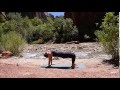 Wake up yoga flow with brenda blanco yoga 15 min