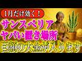 サンスベリアはここにおいて。そうすれば金運が上がるよ。