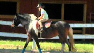 DSCN4268.AVI