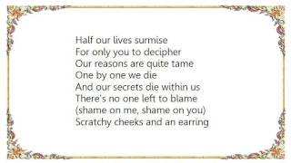 Lambchop - Life&#39;s Little Tragedy Lyrics