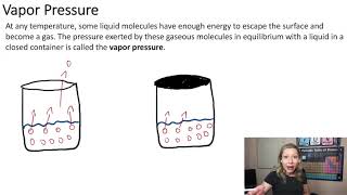 Vapor Pressure and Boiling Point