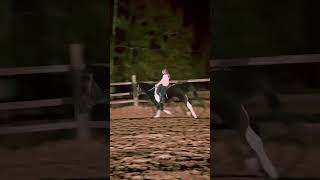 Payton’s 1st no stirrup lesson with her buddy Sport. 💙🐴🩷