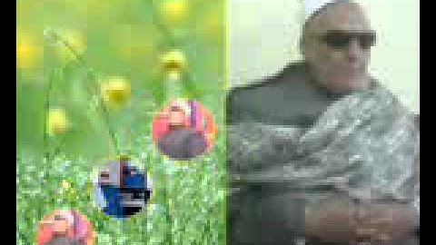 الشيخ رضا عبد اللطيف سورة القمر والرحمن