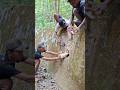 tap these two animals to come out#video#viral