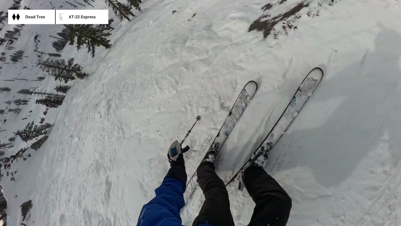 Dead Tree - Palisades Tahoe (2/20/2026)