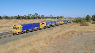 9154 Broad Gauge Grain Train Overtakes 7734v Standard Gauge Grain Train (21/3/2024) - PoathTV by PoathTV - Australian Trains 201 views 9 days ago 3 minutes, 26 seconds