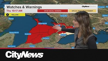 Regions north of Toronto under snow squall warnings