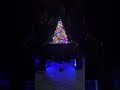 🫨🎄 #christmas #tree #chevy #liftedtrucks