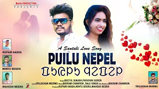New Santali Song 2021 Puilu Nepel Beetol Bikash Parayani Soren 