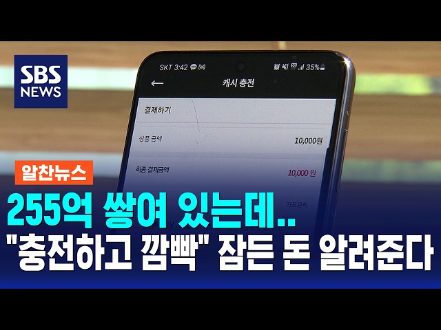 255억 쌓여 있는데.."충전하고 깜빡" 잠든 돈 알려준다 / 알찬뉴스 / SBS 모닝와이드