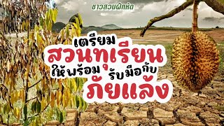 ชาวสวนฝึกหัด | ตามไปฟัง วิธีเตรียมสวน #ทุเรียน ให้พร้อมรับมือกับ #ภัยแล้ง